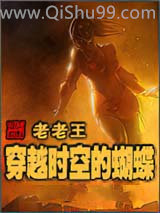 《穿越时空的蝴蝶》全本TXT下载-作者：老老王