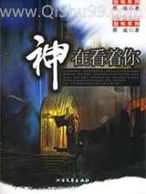 《神在看着你》全本TXT下载-作者：蔡骏