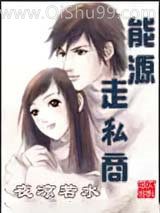 《能源走私商》全本TXT下载-作者：夜凉若水