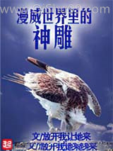 《漫威世界里的神雕》全本TXT下载-作者：放开我让她来
