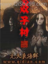 双子村图片