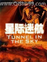 《星际迷航》全本TXT下载-作者：楼兰上官
