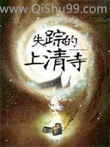 《失踪的上清寺》全本TXT下载-作者：罗渝