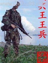 《兵王王兵》全本TXT下载-作者：欲雨还晴