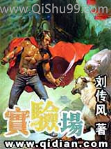 《实验场》全本TXT下载-作者：刘传风