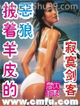 《披着羊皮的恶狼》全本TXT下载-作者：寂寞剑客