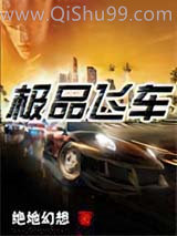 《极品飞车》全本TXT下载-作者：绝地幻想