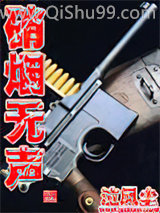 《硝烟无声》全本TXT下载-作者：泣风尘