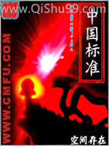 《中国标准》全本TXT下载-作者：空间存在
