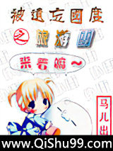 《被遗忘国度之旅游团》全本TXT下载-作者：流浪的马儿