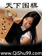 《天下围棋》全本TXT下载-作者：刀疤六