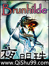 夜明珠小说