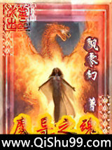 魔导之魂图片