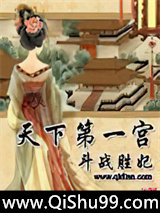 《天下第一宫》全本TXT下载-作者：斗战胜妃