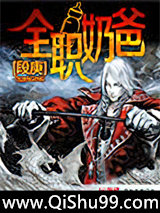全职奶爸小说