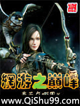 《网游之巅峰》全本TXT下载-作者：春天在哪里