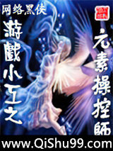 《游戏小工之元素操控师》全本TXT下载-作者：网络黑侠
