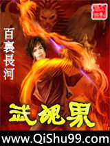 武魂界小说