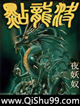点龙诀小说