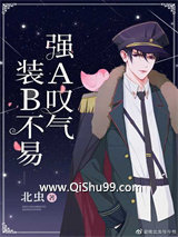 《装B不易，强A叹气》全本TXT下载-作者：北虫