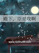 《殿下，臣是攻啊》全本TXT下载-作者：安西沉