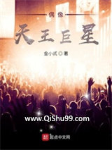 《偶像天王巨星》全本TXT下载-作者：金小贰