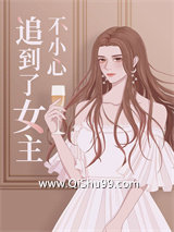 《不小心追到了女主》全本TXT下载-作者：青青河边马
