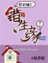 《错生缘》全本TXT下载-作者：陆泠洍