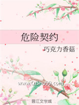 《危险契约》全本TXT下载-作者：巧克力香菇