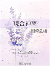 《貌合神离》全本TXT下载-作者：芝士面包
