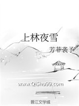 《上林夜雪》全本TXT下载-作者：芳菲袭予