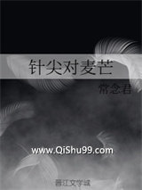 《针尖对麦芒》全本TXT下载-作者：一叶知花