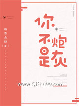《你不是炮灰》全本TXT下载-作者：藕香食肆
