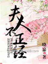 《夫人不正经》全本TXT下载-作者：晓暴