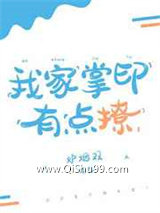 《我家掌印有点撩》全本TXT下载-作者：炉烟双