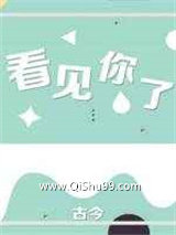 《看见你了》全本TXT下载-作者：古今