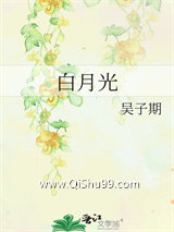 《白月光》全本TXT下载-作者：吴子期