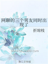 《网聊的三个男友同时出现了》全本TXT下载-作者：折琼枝