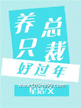 养只总裁好过年图片
