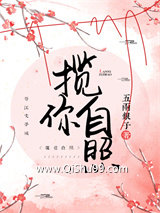 《揽你自照》全本TXT下载-作者：五两银子