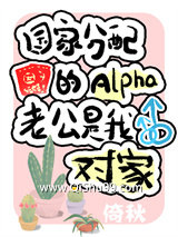 《我与对家C位成婚》全本TXT下载-作者：倚秋
