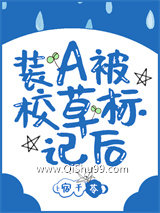装A后我被校草标记了图片
