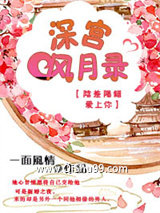 深宫风月录图片