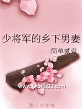 《少将军的乡下男妻》全本TXT下载-作者：简单贰壹