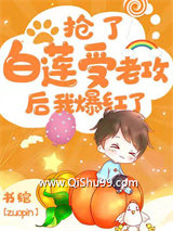 《抢了白莲受老攻后我爆红了》全本TXT下载-作者：书绾