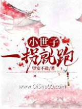 《小世子一拐就跑》全本TXT下载-作者：望安不赴