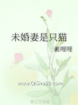 《未婚妻是只猫》全本TXT下载-作者：素哩哩