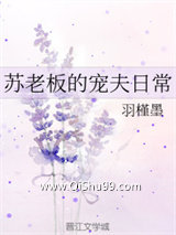 《苏老板的宠夫日常》全本TXT下载-作者：羽槿墨