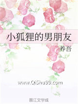 《小狐狸的男朋友》全本TXT下载-作者：养吾