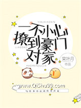 《一不小心撩到豪门对家》全本TXT下载-作者：棠叶月